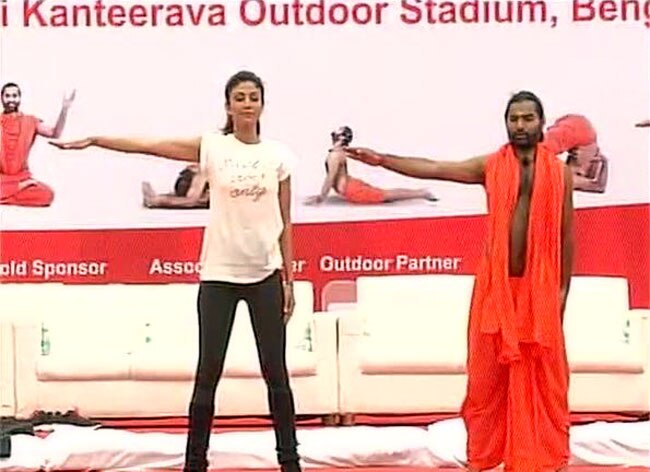 बॉलीवुड स्टार्स ने भी मनाया अंतरराष्ट्रीय योग दिवस