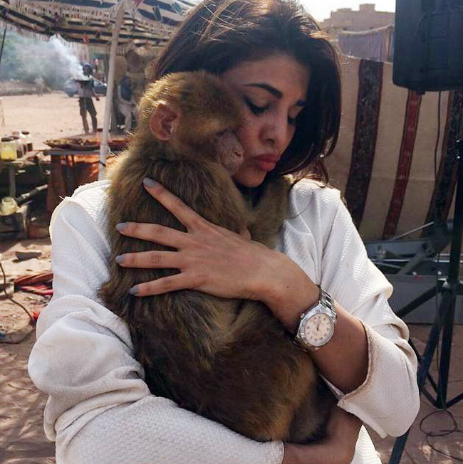 जैकलीन फर्नांडिस, वरुण धवन और जॉन अब्राहम मोरक्को में