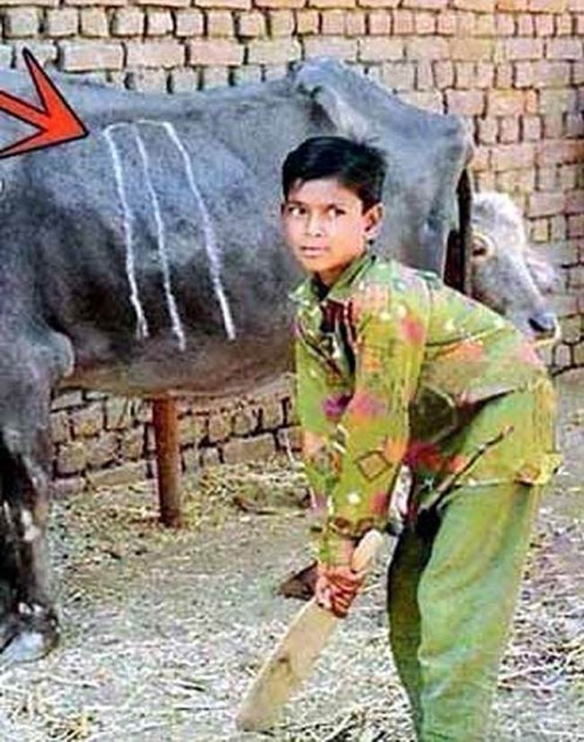 तेरा ध्यान किधर है... जुगाड़ इधर है...