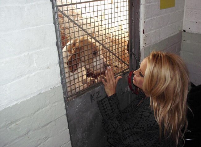 पामेला एंडरसन के जन्मदिन पर जानें खास बातें