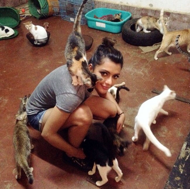 बॉलीवुड में डेब्यू करने जा रही इस हसीना की खूबसूरती के कायल हो जाएंगे