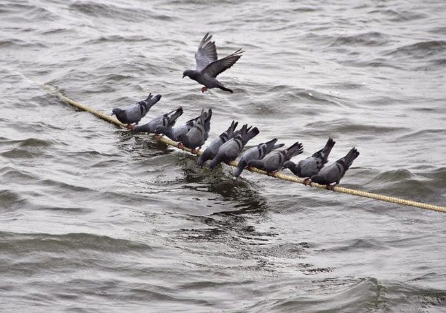 दुनिया से 'हटके' हैं ये 7 तस्वीरें...