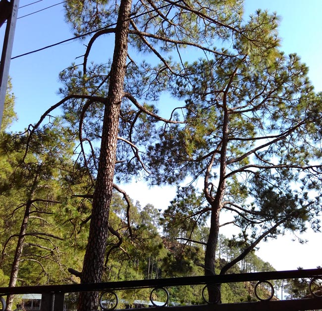 श्रद्धा-भक्त‍ि से सराबोर कर देती है वैष्णो देवी की यात्रा