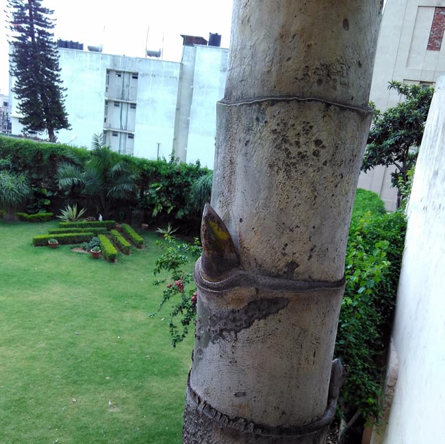 श्रद्धा-भक्त‍ि से सराबोर कर देती है वैष्णो देवी की यात्रा