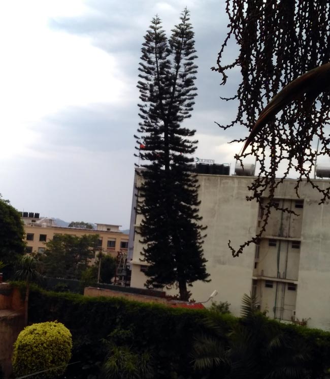 श्रद्धा-भक्त‍ि से सराबोर कर देती है वैष्णो देवी की यात्रा