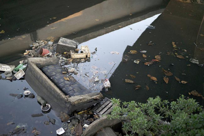 तस्वीरें: 2016 रियो ओलंपिक आयोजन स्थल के पानी में मलबा और वायरस!