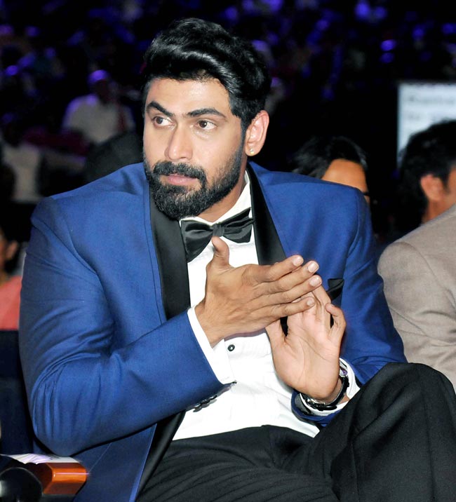 SIIMA 2015 अवॉर्ड्स में राणा डग्गुबती, श्रेया सरन और श्रुति हासन का जलवा