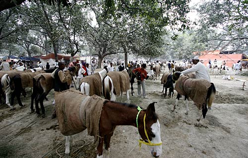 बिहार की बदलती तस्‍वीर | नीतीश की सुनामी