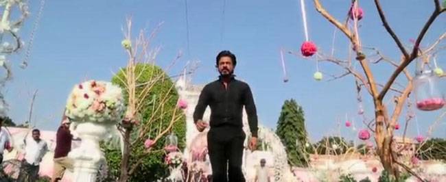 तस्वीरों में देखें शाहरुख की फिल्म 'दिलवाले' का क्लाइमैक्स