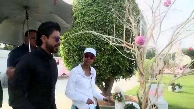 तस्वीरों में देखें शाहरुख की फिल्म 'दिलवाले' का क्लाइमैक्स