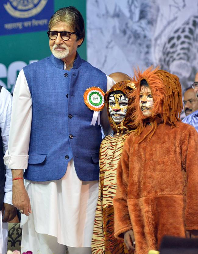 Celeb Spotting: बिग बी बने टाइगर एंबेसडर, रितिक-लीजा साथ नजर आए