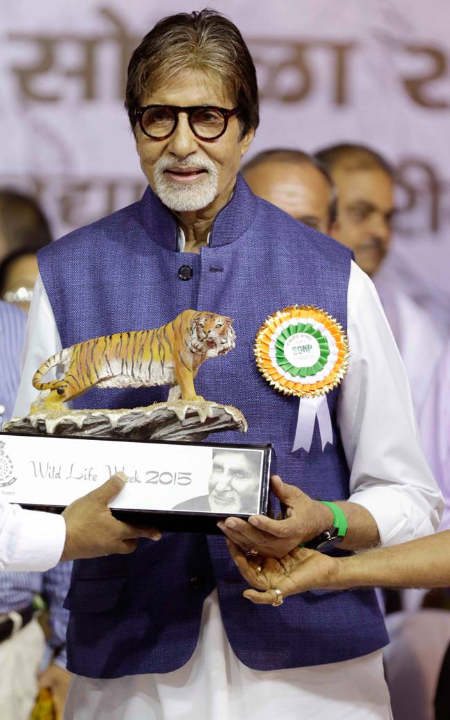 Celeb Spotting: बिग बी बने टाइगर एंबेसडर, रितिक-लीजा साथ नजर आए