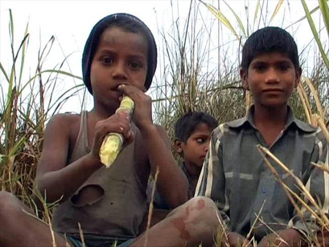 पुलिस के खौफ से खेतों में रात गुजार रहे हैं इस गांव के लोग