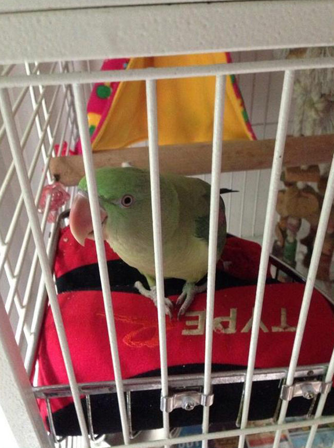 सांपों से खेलने वाली स्नेहा उल्लाल Happy birthday