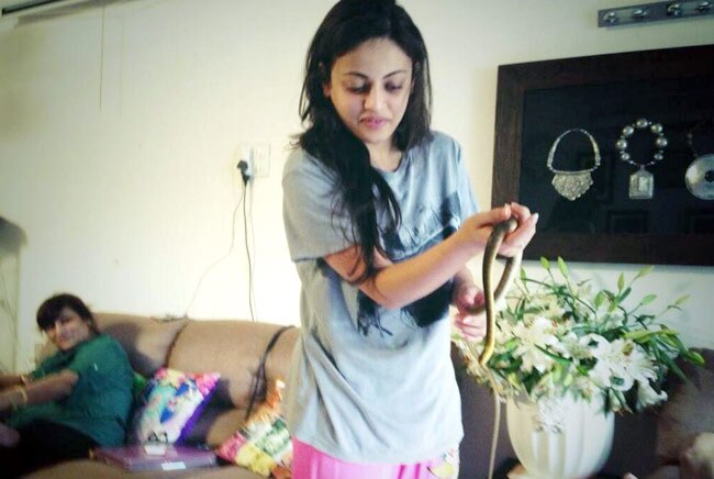 सांपों से खेलने वाली स्नेहा उल्लाल Happy birthday