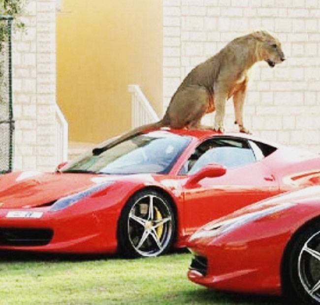 इस तरह आलीशान जिंदगी जीता है दुनिया का सबसे कुख्यात ड्रग्स तस्कर