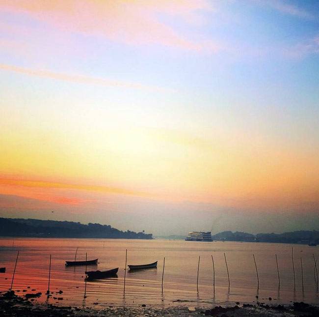 बिपाशा-करण से लेकर आलिया-सिद्धार्थ इंस्टाग्राम पर छाए