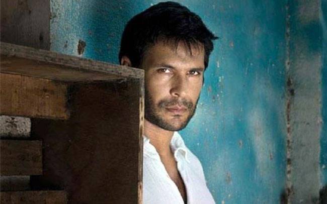 इन बॉलीवुड सितारों ने चुना विदेशी हमसफर