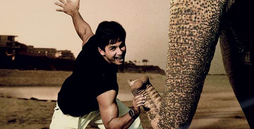 शाहिद ने इंडस्ट्री में किए 13 साल पूरे, 'इश्क विश्क' से किया था डेब्यू