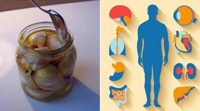 शहद और लहसुन साथ मिलाकर खाएंगे तो ये 7 फायदे देखेंगे...