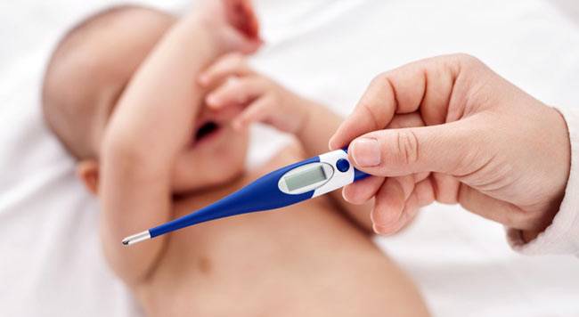 शहद और लहसुन साथ मिलाकर खाएंगे तो ये 7 फायदे देखेंगे...