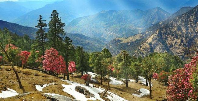 यहां दिखेंगे आपको हिमालय की वादियों के ये खूबसूरत नजारे