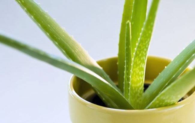 आम समस्याओं के ये हैं कुछ आसान उपाय