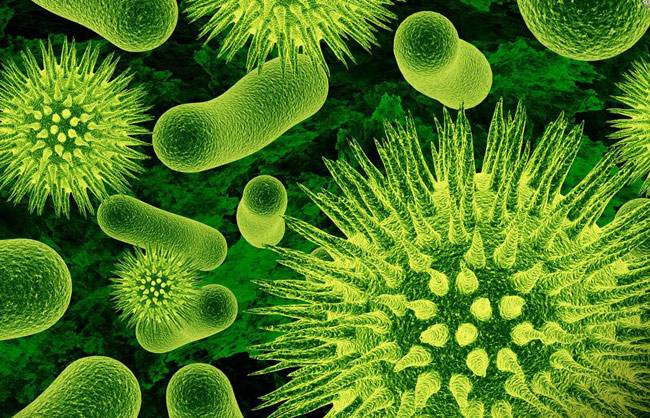 ये हैं तांबे के बर्तन में पानी पीने के 10 फायदे...