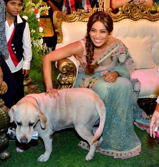 कपिल शर्मा के शो में बिपाशा के लिए 'रिक्शावाला' बने करण ग्रोवर