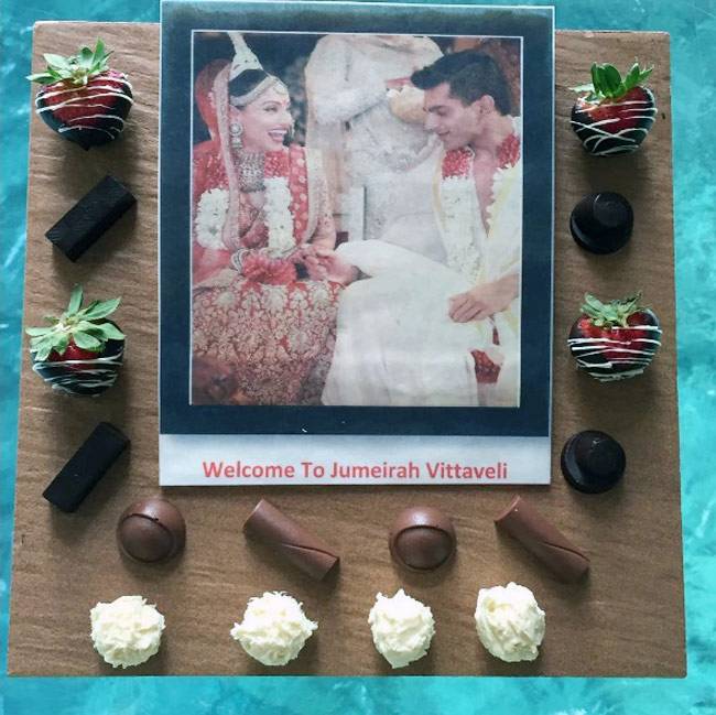 हनीमून पर गए बिपाशा-करण ने की अपने बेडरूम की तस्वीर शेयर