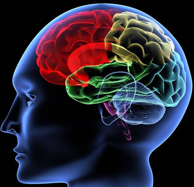 तो इसलिए दी जाती है रोज अंडा खाने की सलाह...