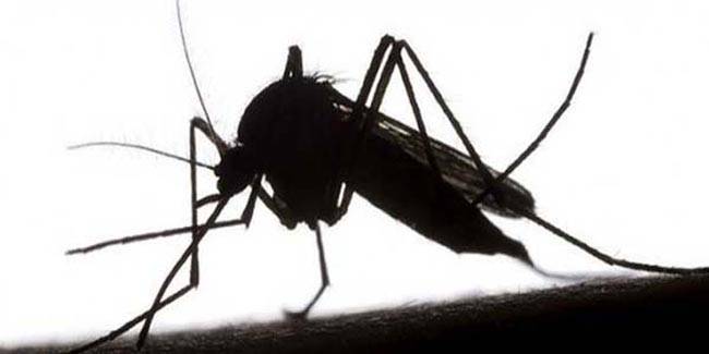 धीमी मौत ला रहा है मौसम में बदलाव