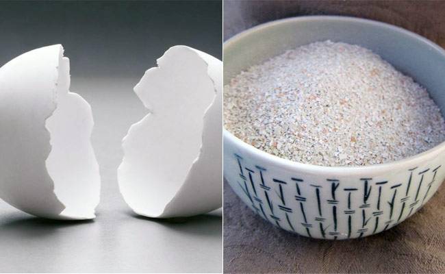 अंडे के छिलके में छिपा है खूबसूरत त्वचा का राज