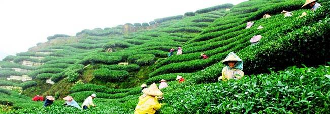 भारत की इन 10 जगहों पर लगता है पर्यटकों का मेला...