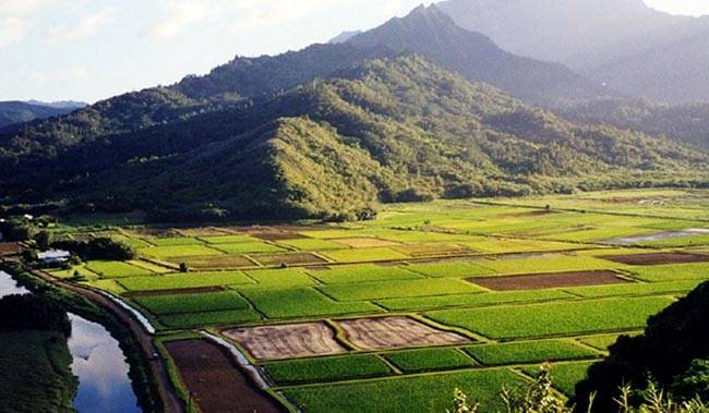 देखें असम की गोद में छिपे ये खबसूरत नजारे