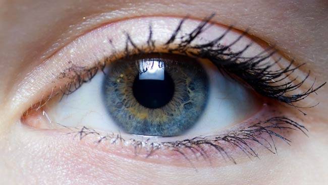 तो इसलिए दी जाती है रोज अंडा खाने की सलाह...