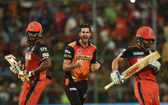 IPL-9 का चैंपियन बना हैदराबाद, फाइनल में एक बार फिर पिटा बैंगलोर