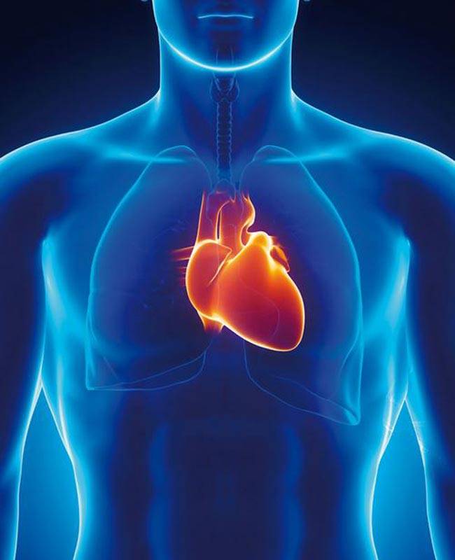 खजूर खाएं सेहत के साथ खूबसूरती भी बढ़ाएं..