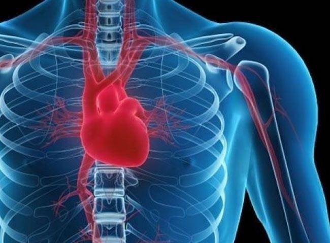 ये 7 बातें जानकर आप रोज खाएंगे भि‍ंडी...