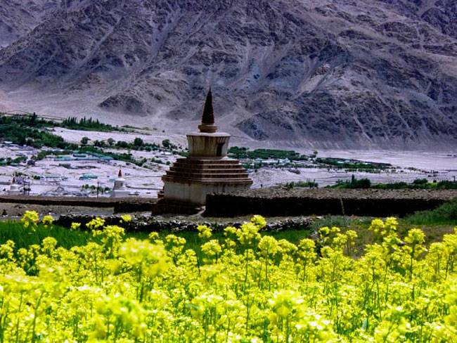 इन जगहों का तापमान 25 ड‍िग्री से ऊपर नहीं जाता...