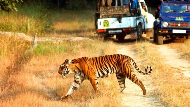 यहां दिखेंगे आपको हिमालय की वादियों के ये खूबसूरत नजारे