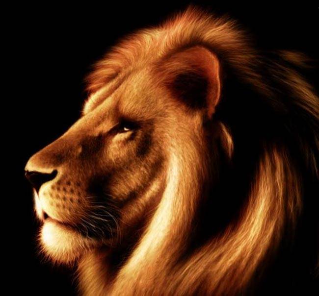 नाम का पहला अक्षर जीवन पर लाता है ये असर...