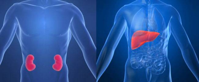 ये हैं तांबे के बर्तन में पानी पीने के 10 फायदे...