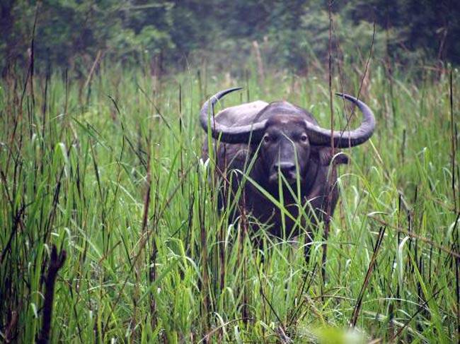 भारत की इन 13 जगहों पर संभल कर जाएं नहीं तो...