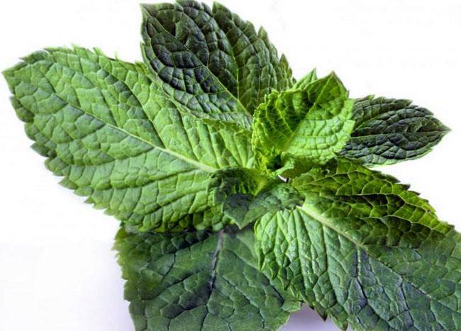 आम समस्याओं के ये हैं कुछ आसान उपाय