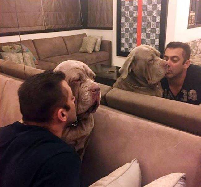 सलमान ने कहा- यूलिया की इज्जत की धज्ज‍ियां न उड़ाएं