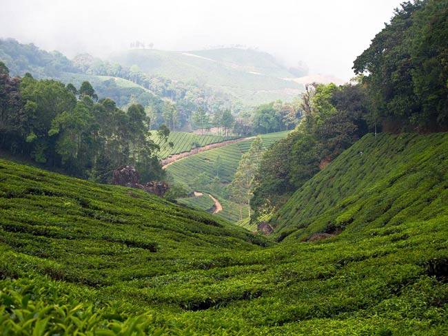 भारत की इन 13 जगहों पर संभल कर जाएं नहीं तो...