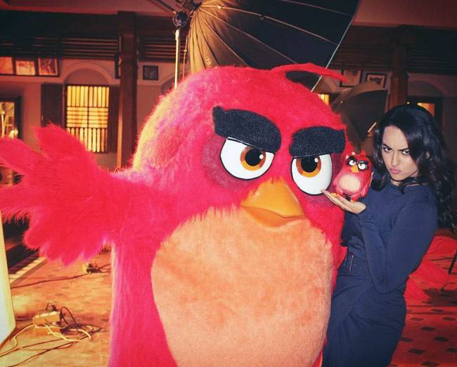 इस हफ्ते शाहिद-मीरा से लेकर शाहरुख-आलिया इंस्टाग्राम पर छाए