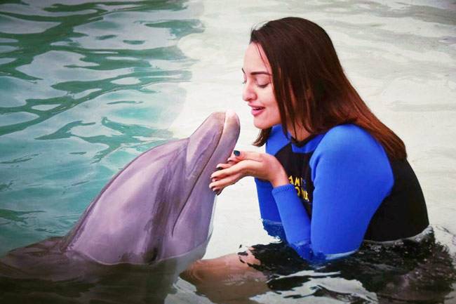 Instagram Update: एक करण की पार्टी, दूसरे की शादी के बाद शो पर मस्ती