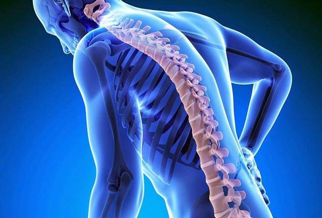 खजूर खाएं सेहत के साथ खूबसूरती भी बढ़ाएं..